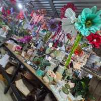 325 ACRES OF RURAL FARMLAND
