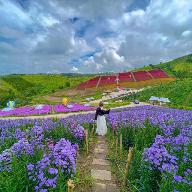 สวนดอกไม้ยอดฮิต "เขาค้อ"