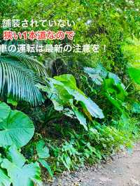 沖縄の美しいビーチでリラックスする時間🌺✨