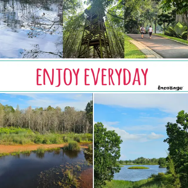 雙溪布洛濕地保護區🌎鳥語花香