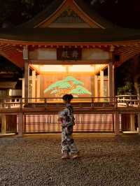 〜埼玉県〜【保存推奨】絶景！氷川神社ライトアップ✨