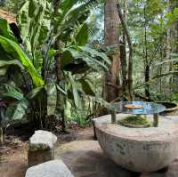 Kopi Hutan คาเฟ่ในป่าที่สูงที่สุดในปีนัง