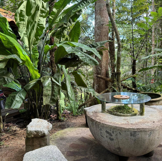 Kopi Hutan คาเฟ่ในป่าที่สูงที่สุดในปีนัง
