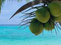 Sunrise beach