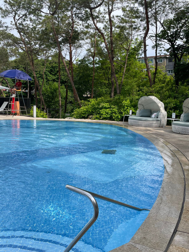 💕파라스파라 서울 호캉스 