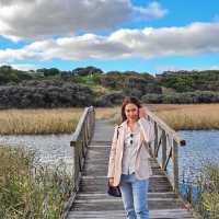 Princetown Wetlands Boardwalk