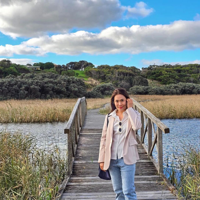 Princetown Wetlands Boardwalk
