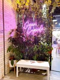 Experience The Green Capsule 