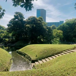 Tokyo's Urban Oasis
