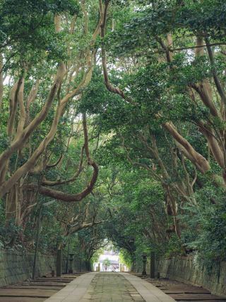 【茨城】宛如龍貓會出現的神社！