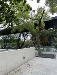 屏東｜森林圖書館📚🌳🍃