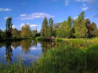 Les Stone Park 