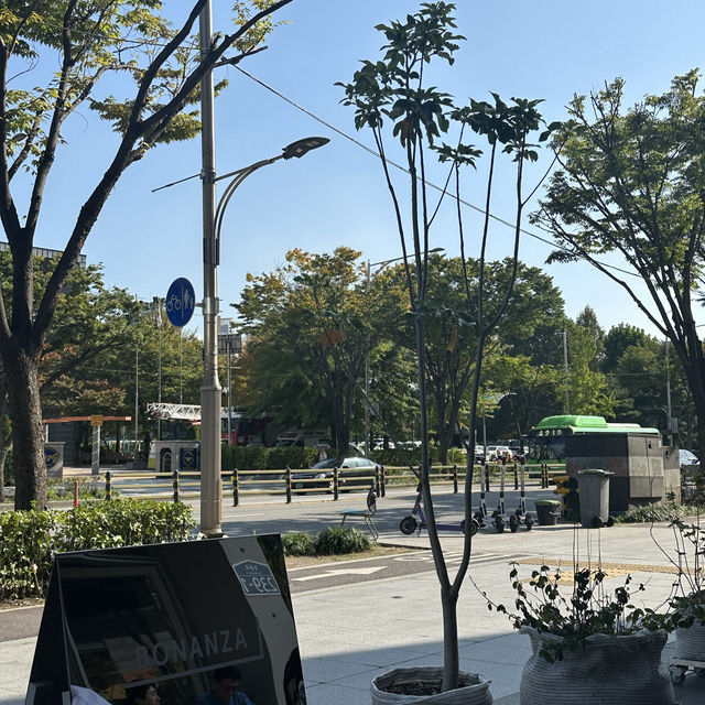 《韓国/君子》オリニデ公園目の前のCAFE ☕️🌿テラス席でティータイム♪ BONANZA