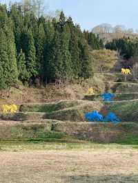 【2024/7/13~11/10】展示会場は新潟の広大な自然🫣🌿‬大地の芸術祭🖼🌾✨【新潟】
