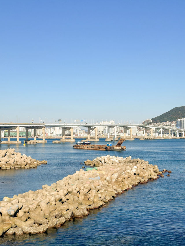 A Tranquil Escape in Busan 💙