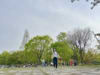공원 산책하기 좋고, 피크닉 하기 좋은 곳!