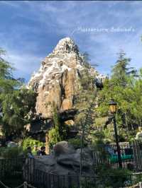 A Magical Day at Disneyland Resort 🌟