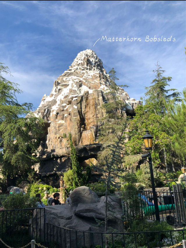 A Magical Day at Disneyland Resort 🌟
