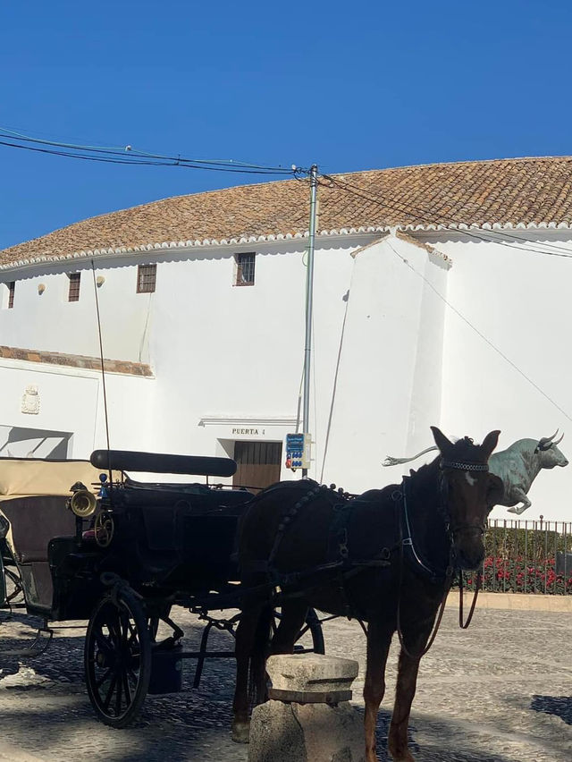 💕A Beautiful End to our Tour in Ronda💙Visit this before you leave Ronda! 