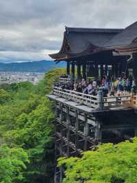 ⛩️รีวิวเที่ยวเกียวโต 1 วัน