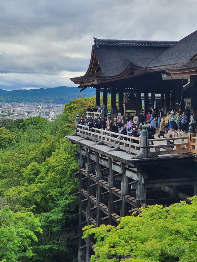 ⛩️รีวิวเที่ยวเกียวโต 1 วัน