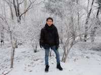 Harbin Ice and Snow World