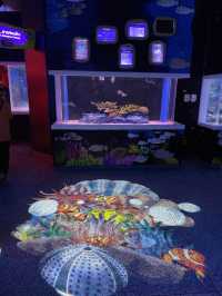 🐠Bangsaen Aquarium ดูปลาที่บางแสน✨