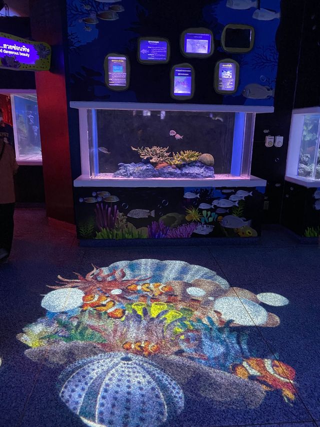 🐠Bangsaen Aquarium ดูปลาที่บางแสน✨