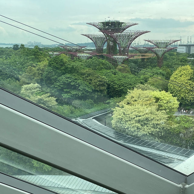 Discover the Magic of Gardens by the Bay