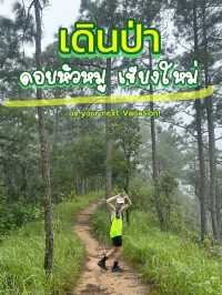 ⛰️ดอยหัวหมู เส้นทางเดินป่าจังหวัดเชียงใหม่