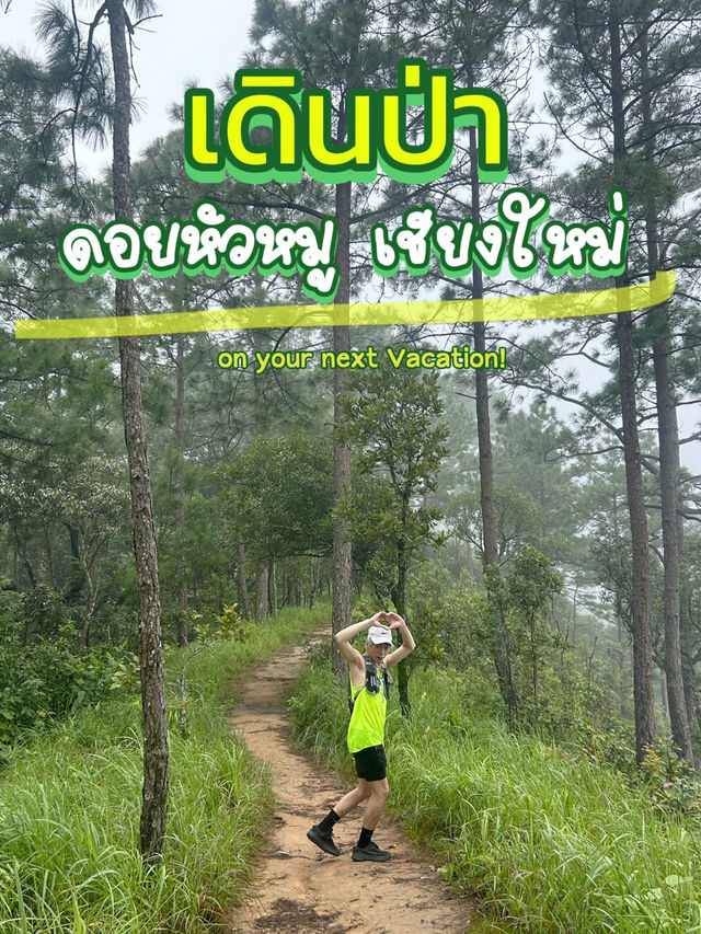⛰️ดอยหัวหมู เส้นทางเดินป่าจังหวัดเชียงใหม่