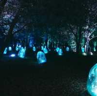 ไปดู Digiata Art สุดเท่ที่ teamLab Osaka กัน