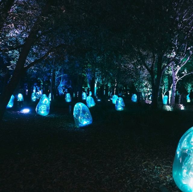 ไปดู Digiata Art สุดเท่ที่ teamLab Osaka กัน