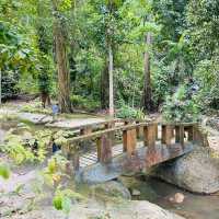 A Hidden Gem in Tokun Forest