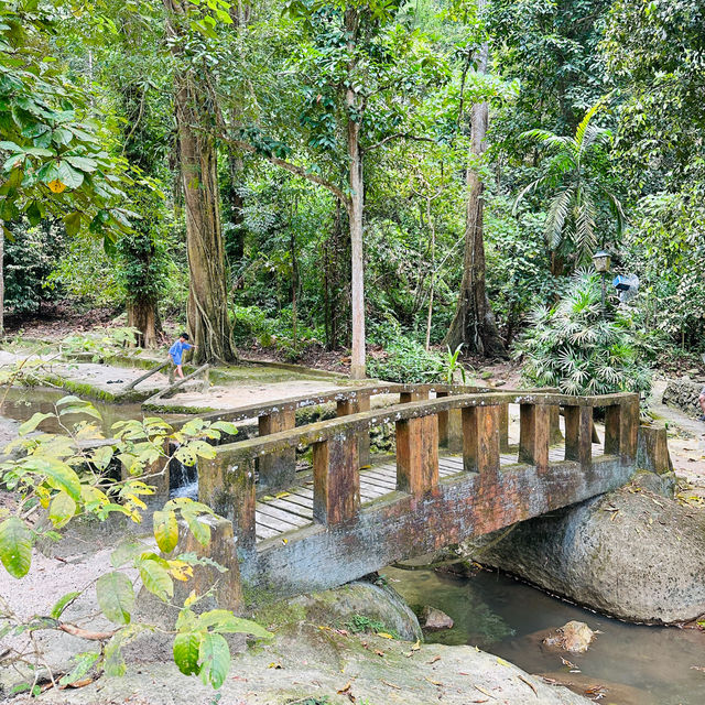 A Hidden Gem in Tokun Forest
