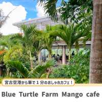 【宮古島】南国風の超おしゃれカフェ☕️🌺🌴