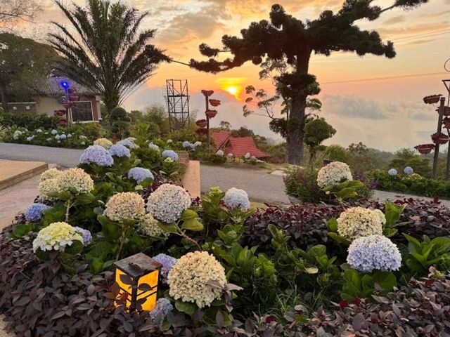 The Jerai Hill Resort
