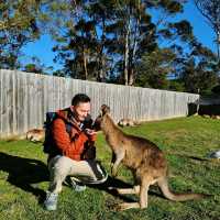 Experience Tasmania’s Wildlife at East Coast Natureworld, Bicheno