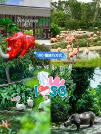 《動物園》【新加坡動物園】：設有夜間探索動物