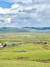 🇨🇳Walking into Oil Painting-LiTang Grassland
