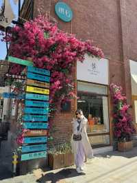 Zhengzhou's Hidden Gem: Explore the Creative Charm of Oil Factory Street