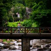 ที่พักเชียงใหม่ ท่ามกลางสวน แบะลำธาร