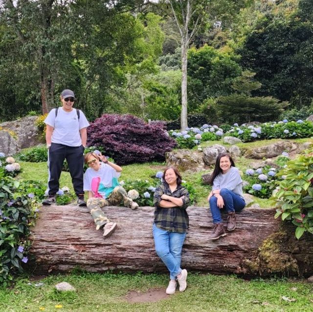Spring Garden Kundasang, A Slice of Nature's Paradise