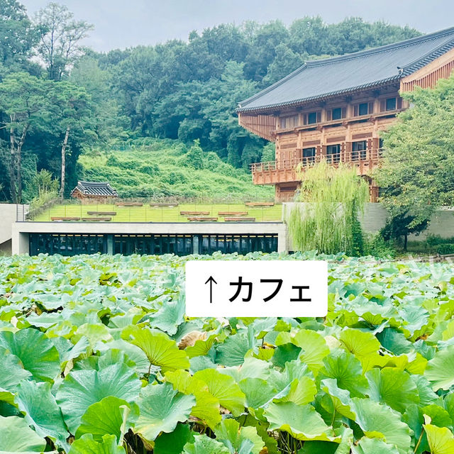 清州　この建物は必見！人文アーカイブ養林&カフェHUMANITAS 