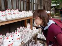 ⛩️วัดโกโตกุจิ โตเกียว วัดแมวกวัก Gotokuji Temple