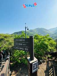 🇰🇷 Gamaksan Viewing Observatory Forest Trail