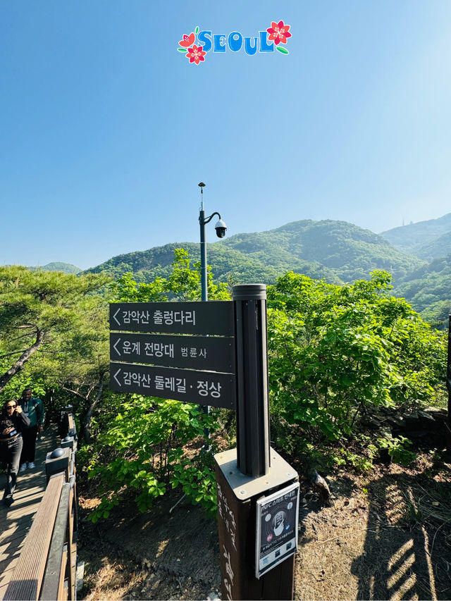 🇰🇷 Gamaksan Viewing Observatory Forest Trail
