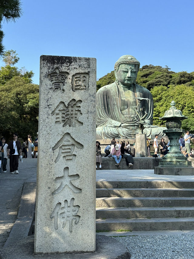 【鎌倉】觀光必到路線-高德院 鎌倉大佛