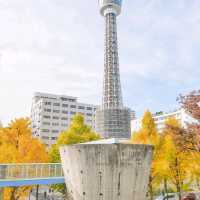 a great way to see Yokohama skyline and harbor