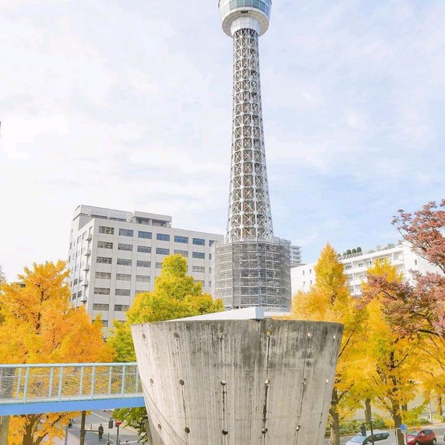 a great way to see Yokohama skyline and harbor